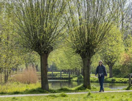 Historische wandelroute rond Alkmaar genomineerd