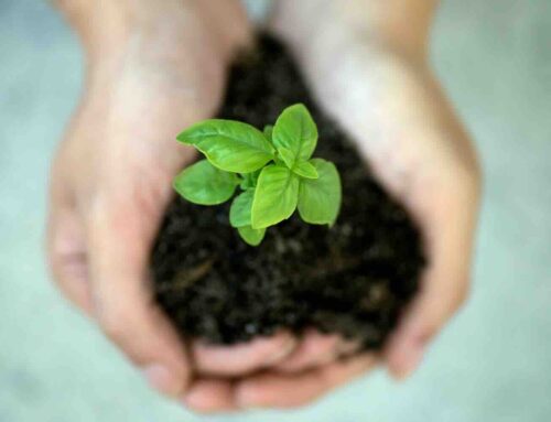 4 Tips voor een duurzamer huishouden