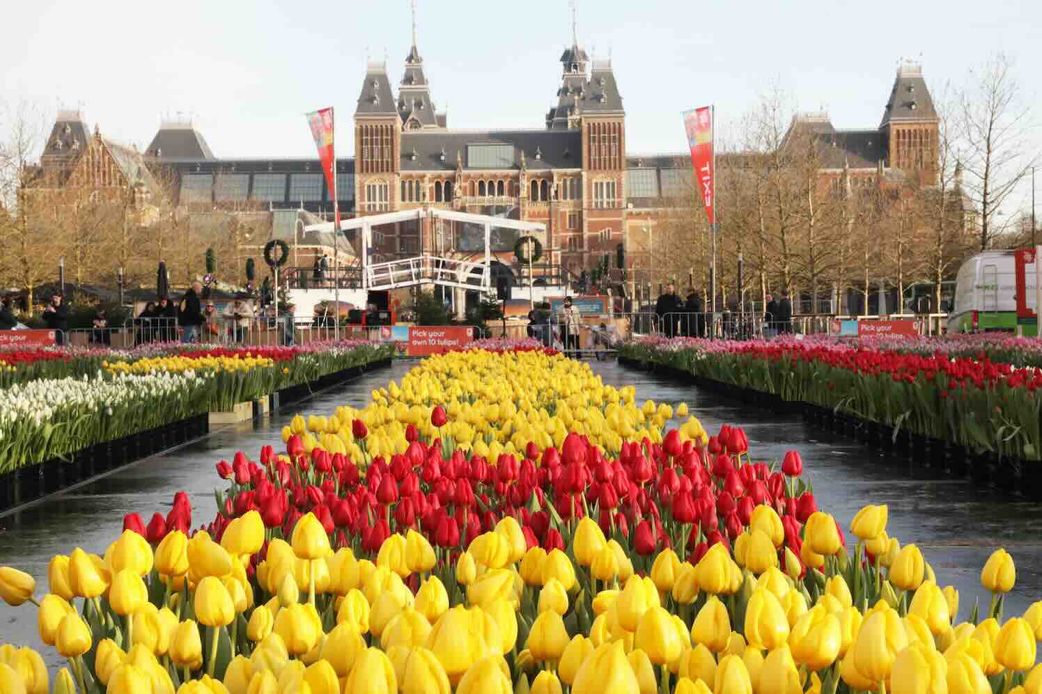 Nederland viert de start van snijtulpenseizoen 2026