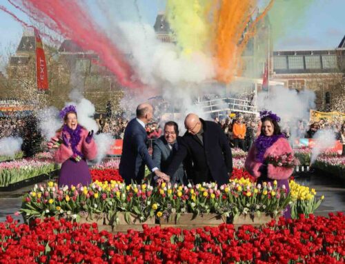 Nederland viert de start van snijtulpenseizoen 2026
