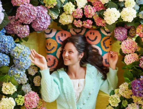 Kleurrijke kamerhortensia goed voor de geest