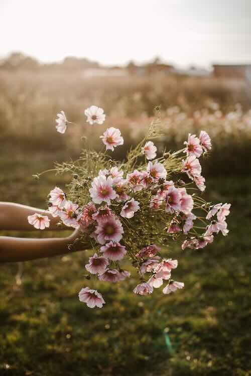 Actie ‘In bloei voor jou” voor Pink Ribbon