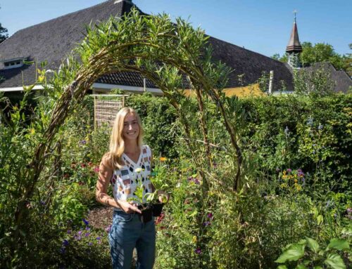 Actie ‘In bloei voor jou” voor Pink Ribbon