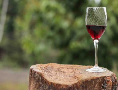 Een wijngaard in de tuin is meer dan een esthetisch statement