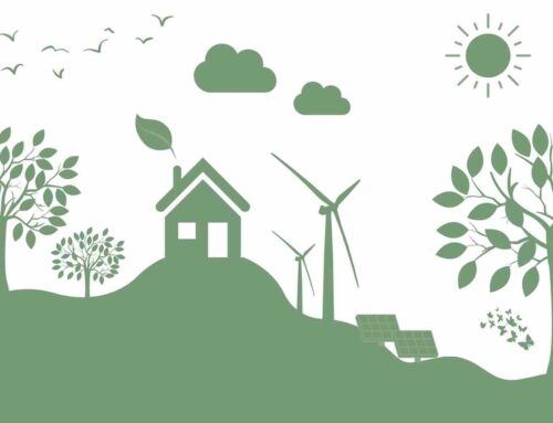 Innovaties en efficiëntie in groenbeheer