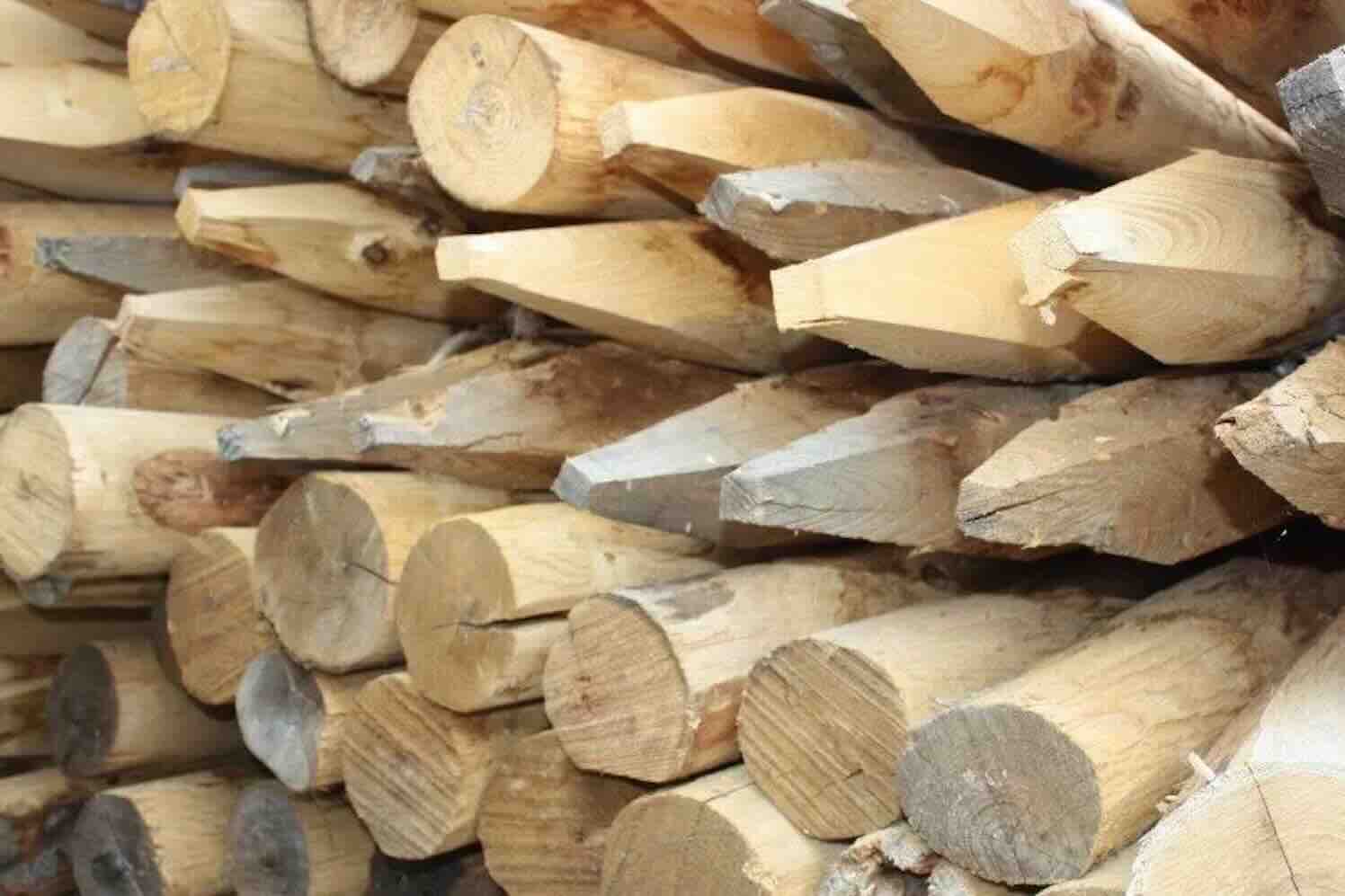 schuurman-kastanjehout Houten paardenomheining: kies houtsoort op bijt- en schuurgedrag