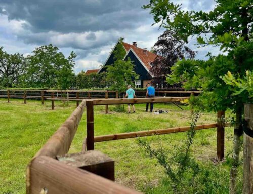 Paardenomheining: kies houtsoort op bijt- en schuurgedrag