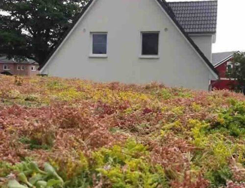 Kan ik zonnepanelen plaatsen op mijn groendak?