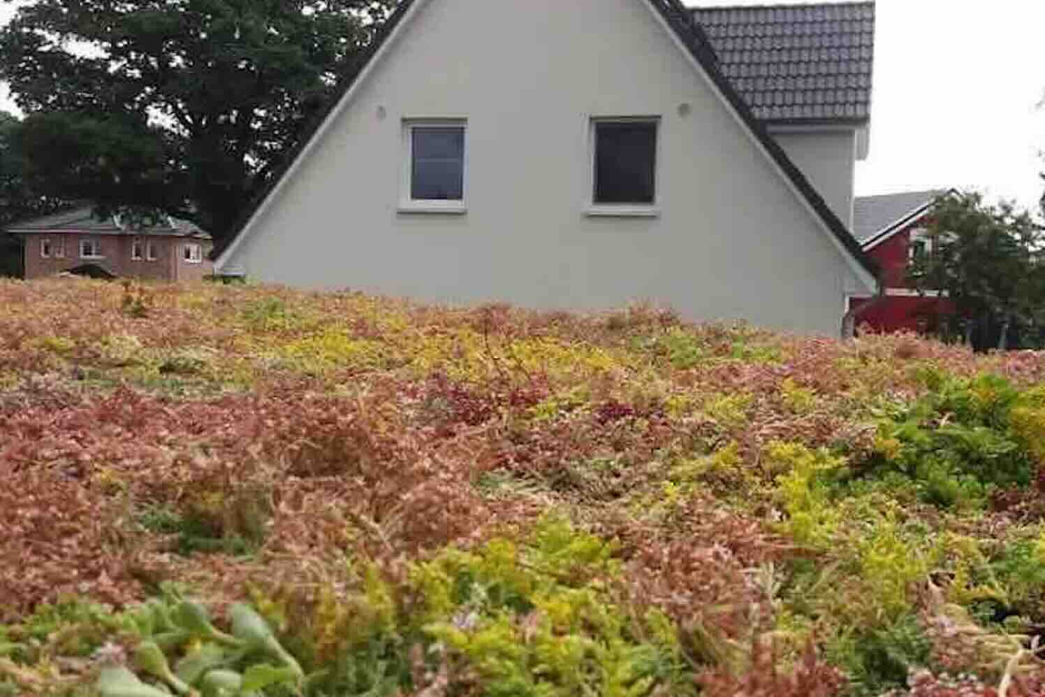 Kan ik zonnepanelen plaatsen op mijn groendak?