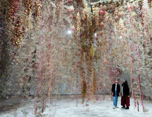‘Flowers Forever’ Kunsthal Rotterdam zet bloemen in spotlight 