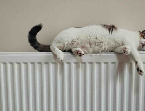 Nieuwe generatie warmtepompen in opmars