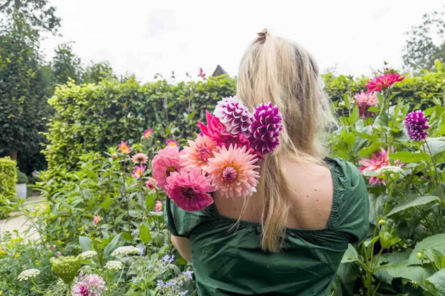 De mooiste zomerbollen in je eigen pluktuin