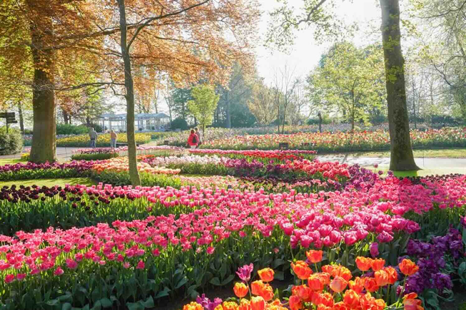 Tot 10 mei kunt u elke dag naar Keukenhof