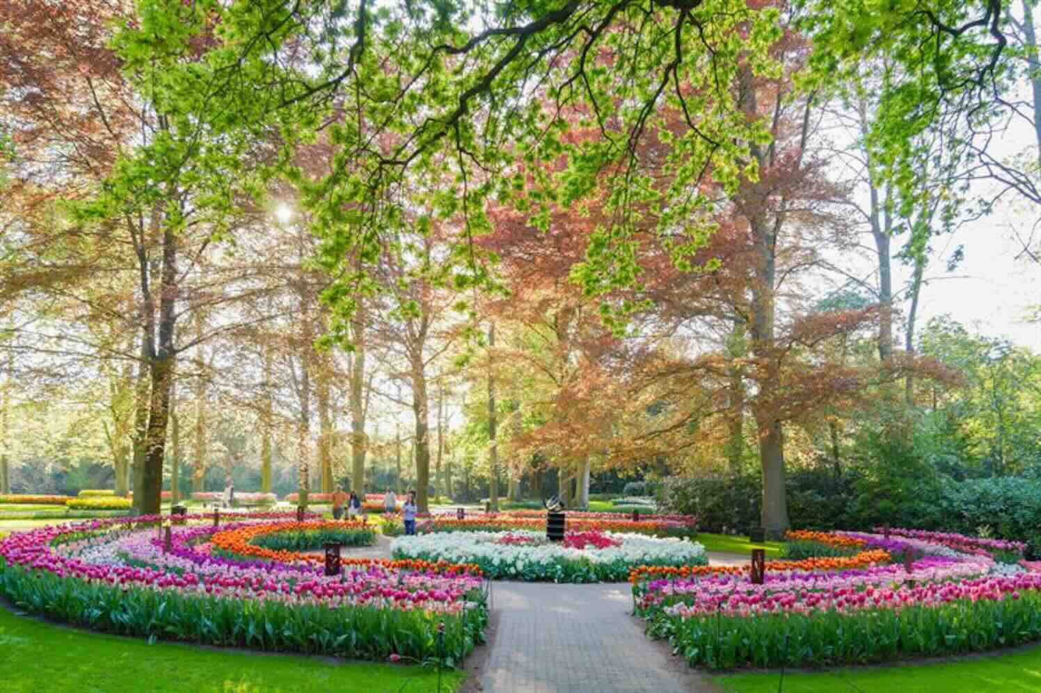 Tot 10 mei kunt u elke dag naar Keukenhof
