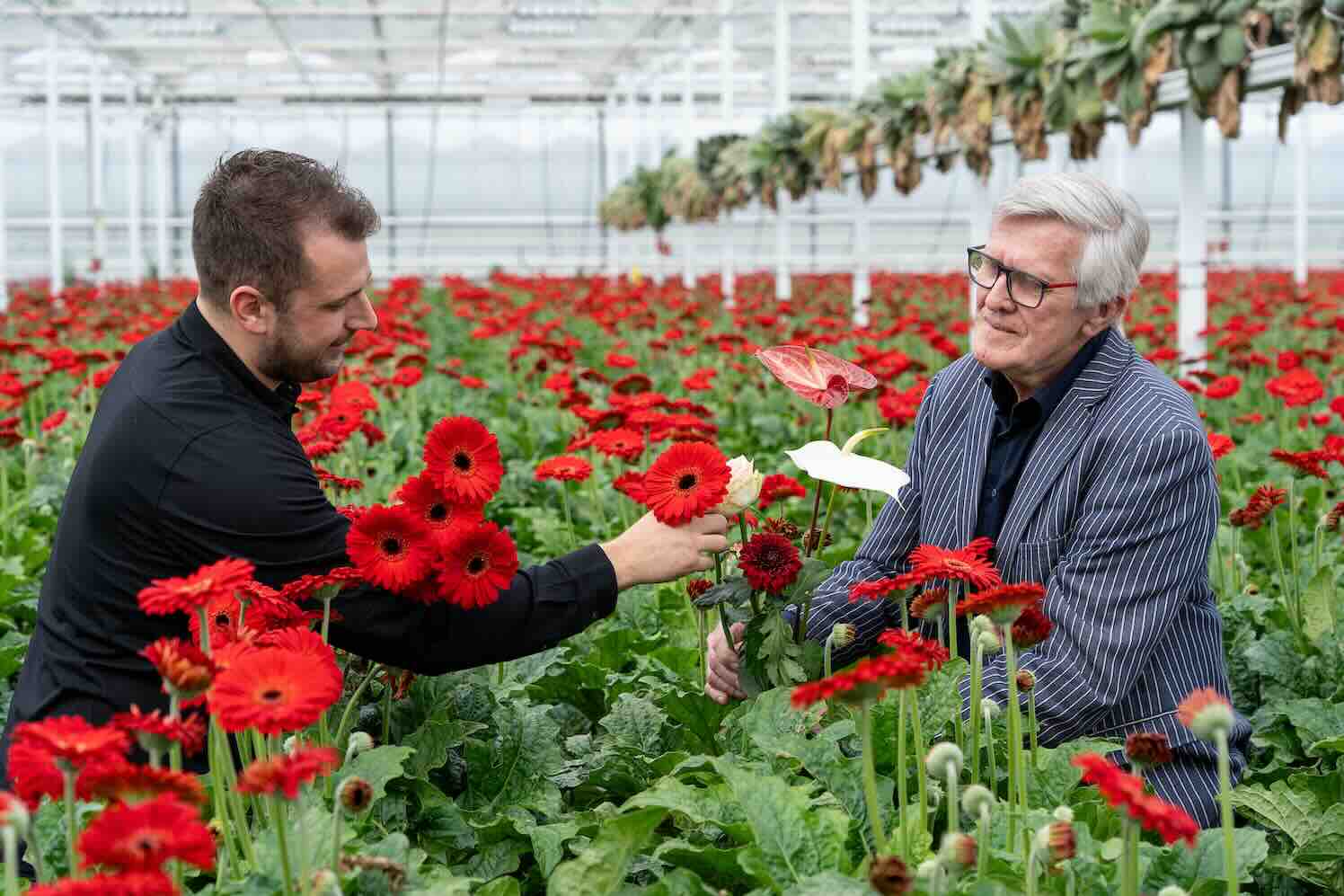 40 jaar Nederlandse bloemen voor de paus