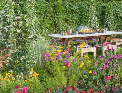 Tuinplanten voor meer biodiversiteit