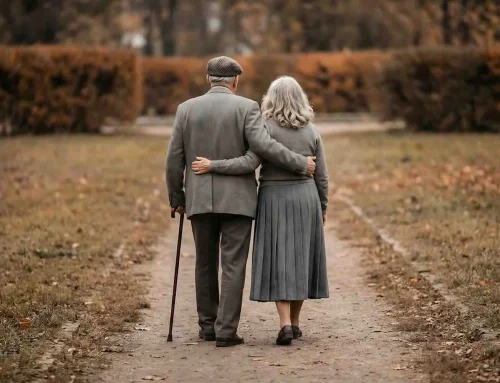 De wandelstok als meest veelzijdige metgezel