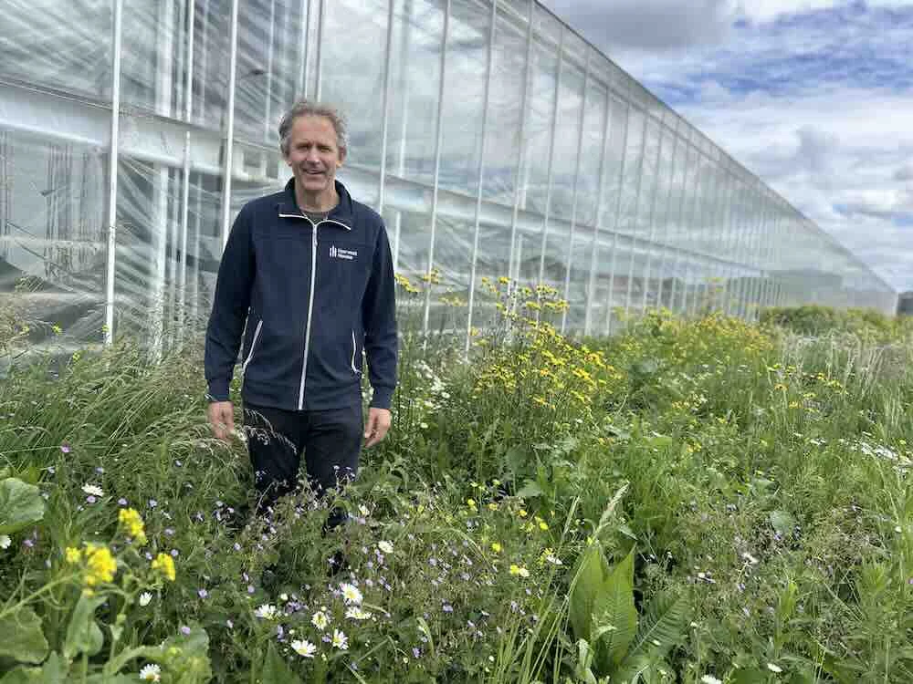 Bloemenstroken rond de kas is goed voor de biodiversiteit