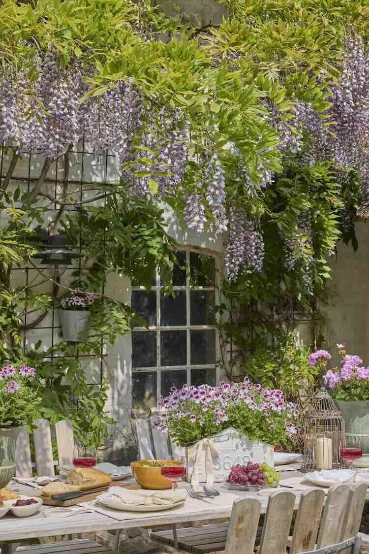 geranium-2026-05 4 stylingtips voor een zomerse tuintafel vol geraniums