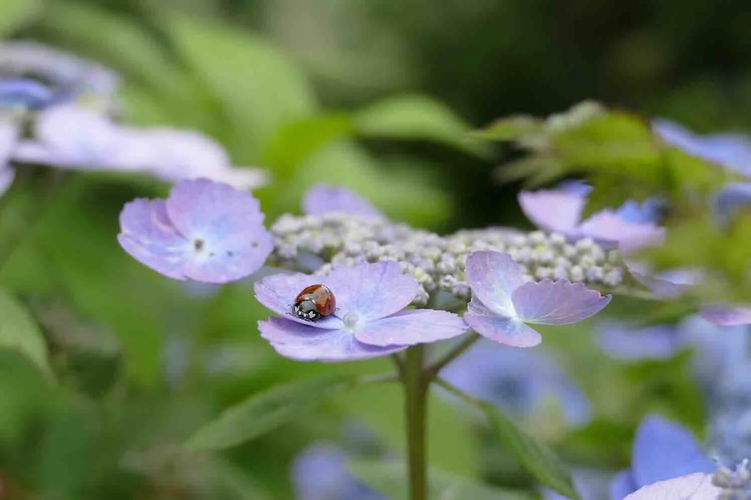 Genieten van rust in de tuin wordt steeds belangrijker