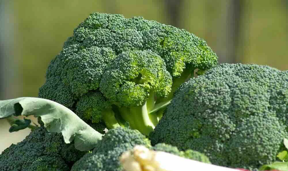 Landbouwgrond binnen een duurzame beleggingsportefeuille