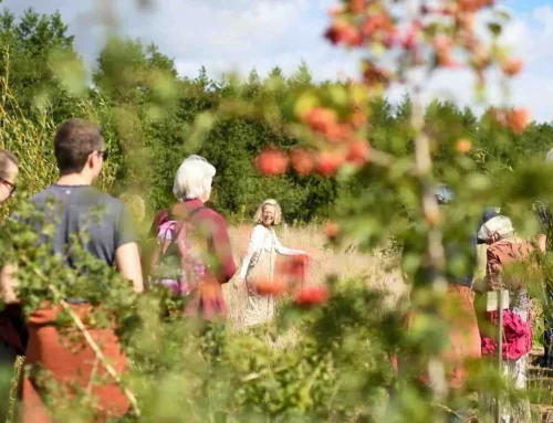 1ste landelijke Open Voedselbossendag