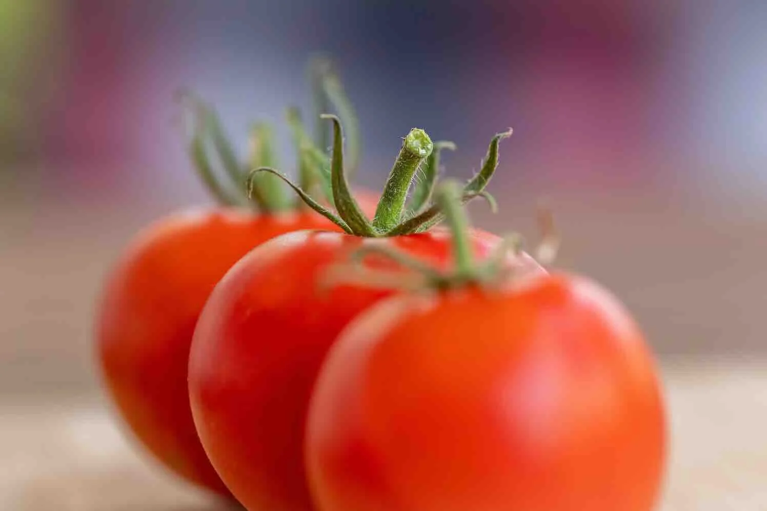 moestuinieren