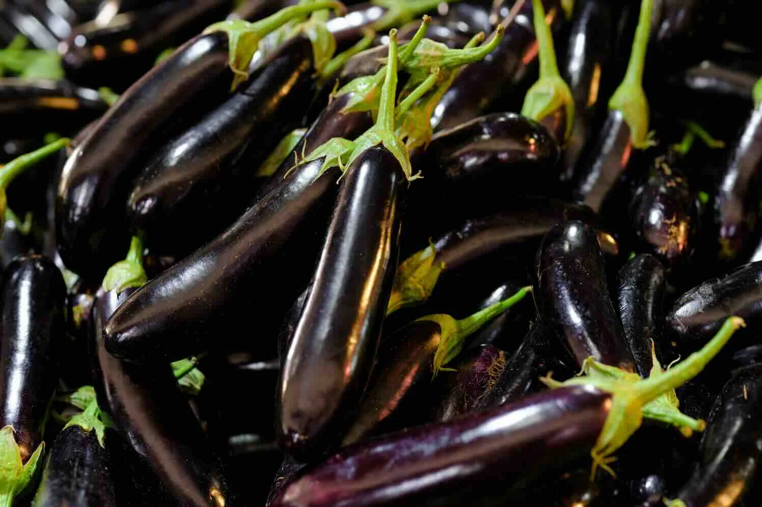 moestuinieren