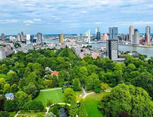 Meer groen in de openbare ruimte: waarom beplanting belangrijk is