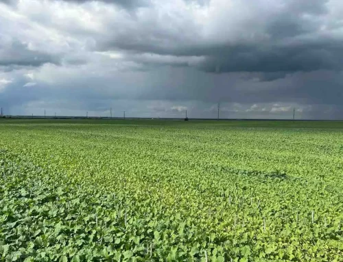 Waarom steeds meer mensen investeren in duurzaamheid
