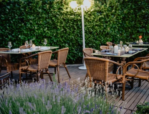 De juiste tuinset voor elk terras