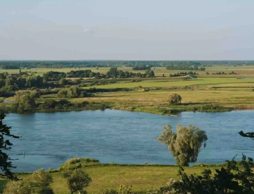 Waarom natuur bij een meerdaagse zakelijke bijeenkomst past