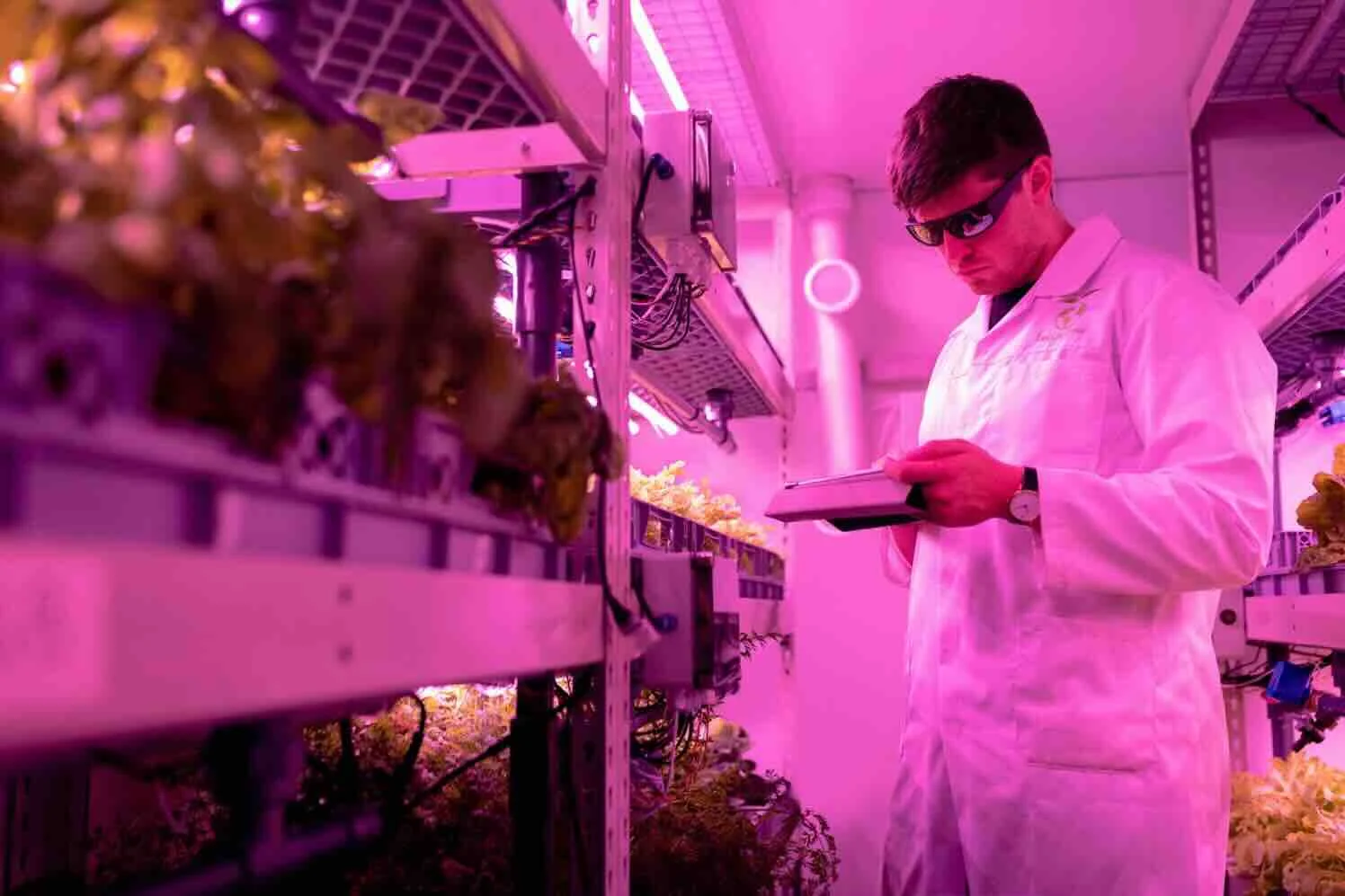 pexels-thisisengineering-innovatie Waarom steeds meer mensen investeren in duurzaamheid?