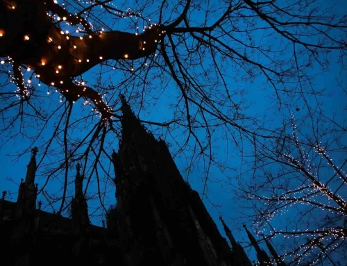 Licht in het donker, kerstverlichting als inspiratie en ritueel