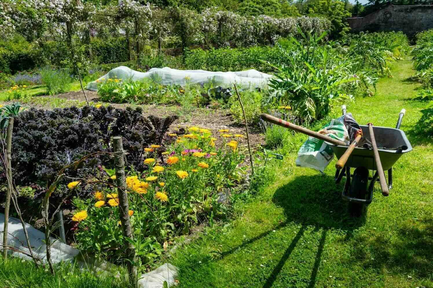 5 slimme investeringen tegen werkdruk in de tuinbouw